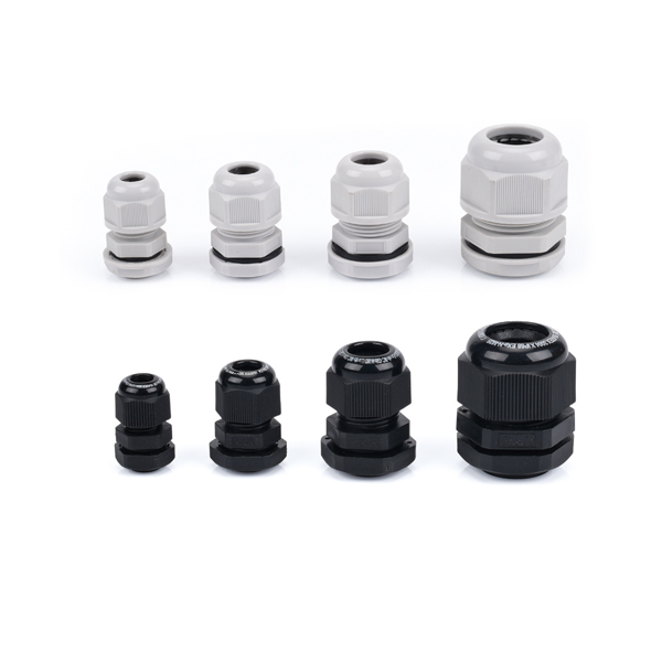 Cable gland  